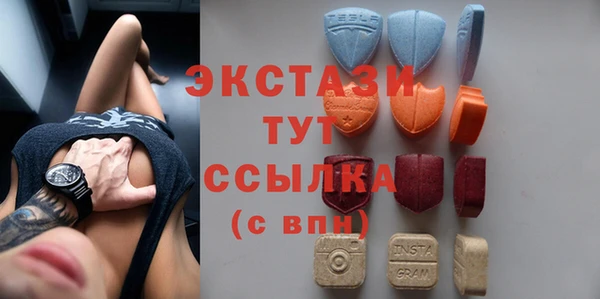 хмурый Алексин