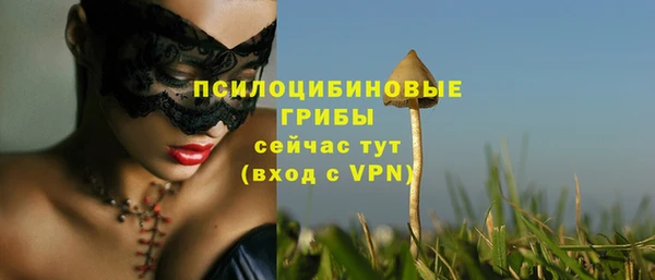 хмурый Алексин