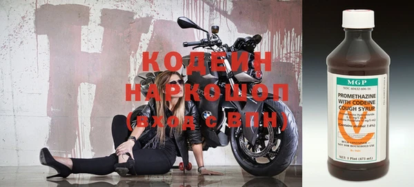 хмурый Алексин